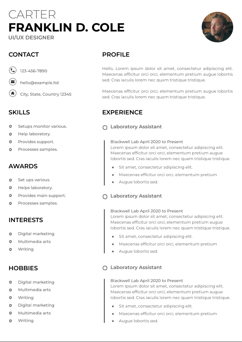 UI/UX Designer Resume - Free Resumes Template for Google Docs